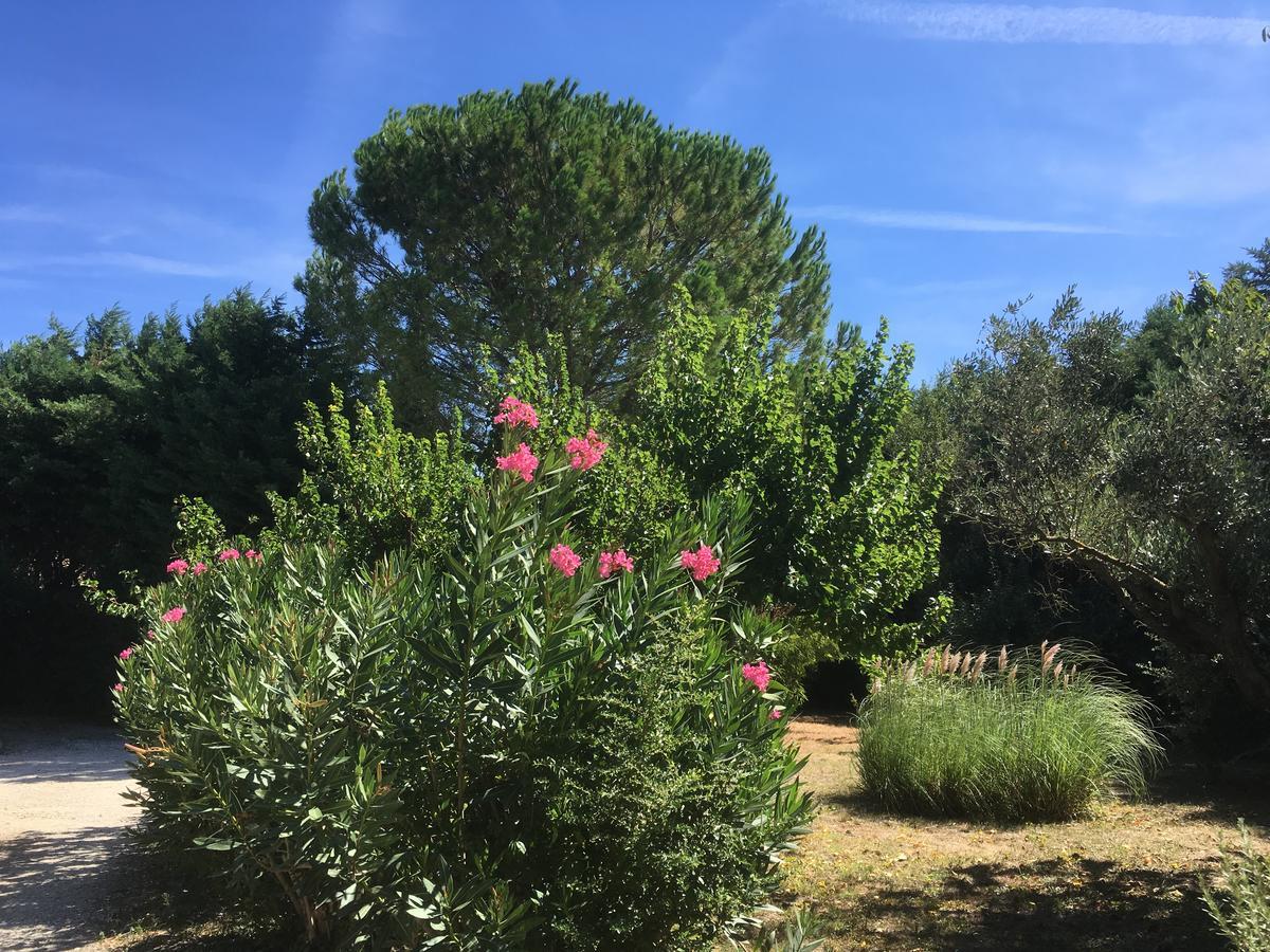 Mas Armelin Bed & Breakfast Tarascon Exterior photo